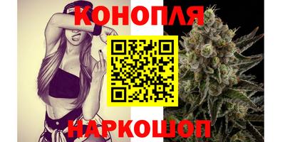 твердый Будённовск