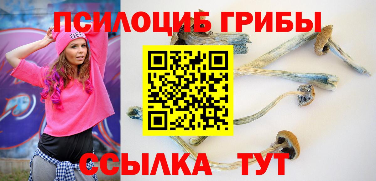Псилоцибиновые грибы Cubensis  купить наркоту  Вход с VPN  Шадринск  Галлюциногенные грибы Psilocybe 